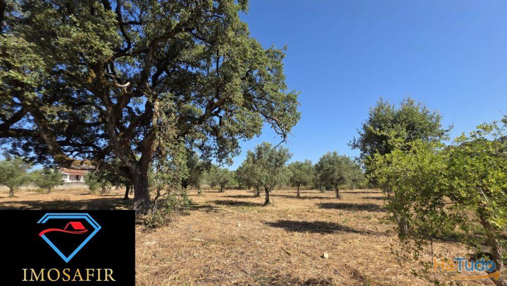 Terreno de Construção com 7665 m2 em Matos, Ferreira do Zêzere Terreno de Construção com 7665 m2 em Matos, Ferreira do Zêzere