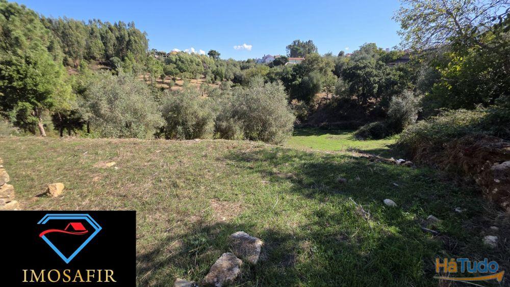 Casa em pedra e celeiro para restaurar Casa em pedra e celeiro para restaurar