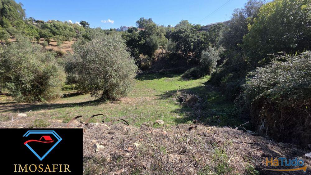 Casa em pedra e celeiro para restaurar Casa em pedra e celeiro para restaurar