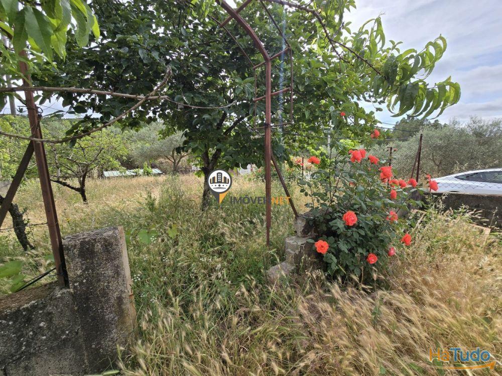 Moradia isolada para venda, Partida, Castelo Branco Moradia isolada para venda, Partida, Castelo Branco