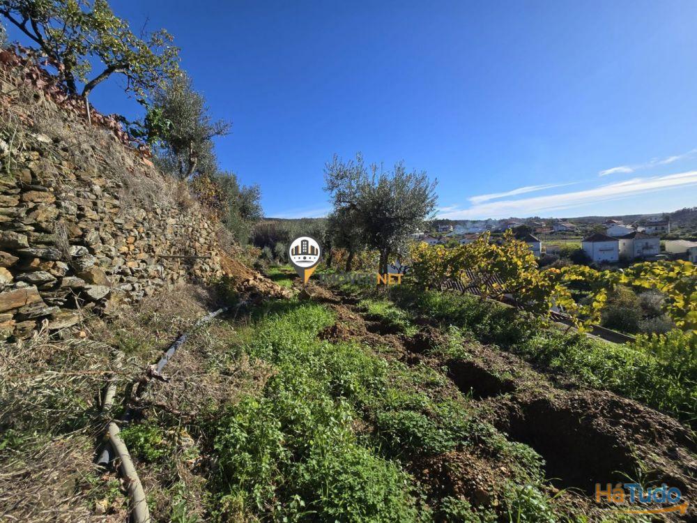 Moradia para VENDA, Partida, Castelo Branco Moradia para VENDA, Partida, Castelo Branco