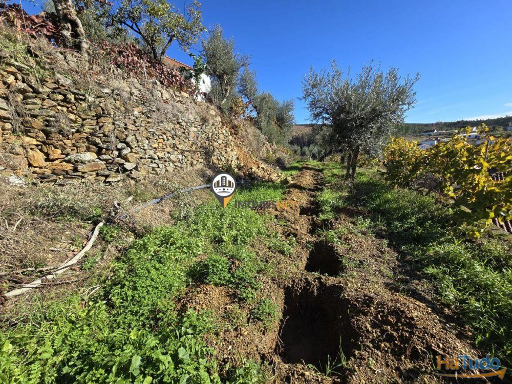 Moradia para VENDA, Partida, Castelo Branco Moradia para VENDA, Partida, Castelo Branco