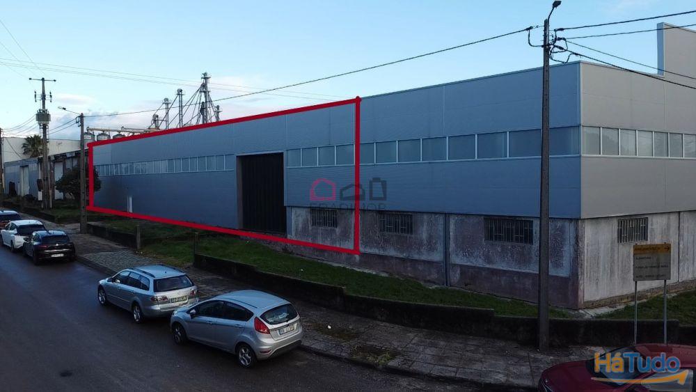 Armaz�m ? Albergaria-a-Velha