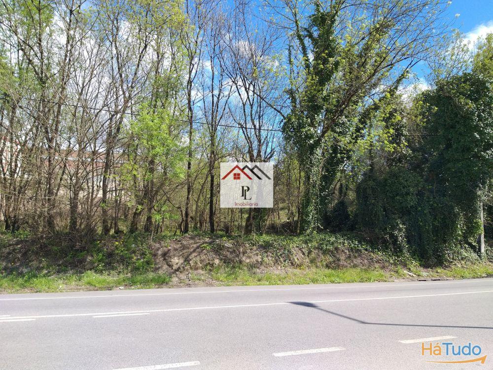 Terrenos para construção em Coimbra Terrenos para construção em Coimbra
