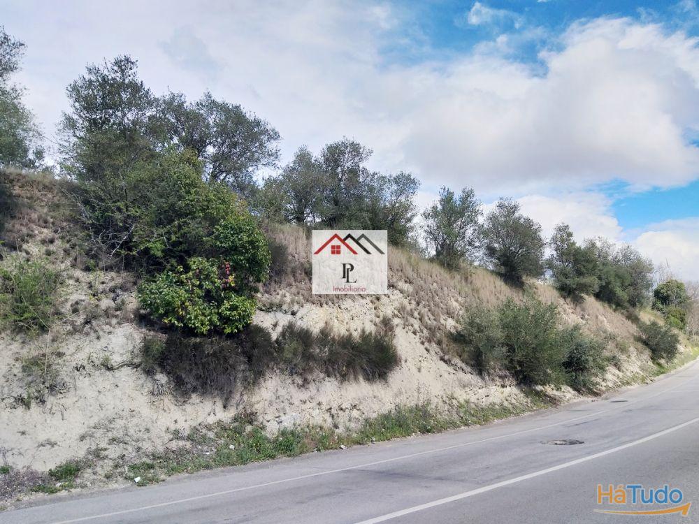 Terrenos para construção em Coimbra Terrenos para construção em Coimbra