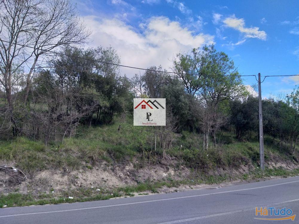 Terrenos para construção em Coimbra Terrenos para construção em Coimbra