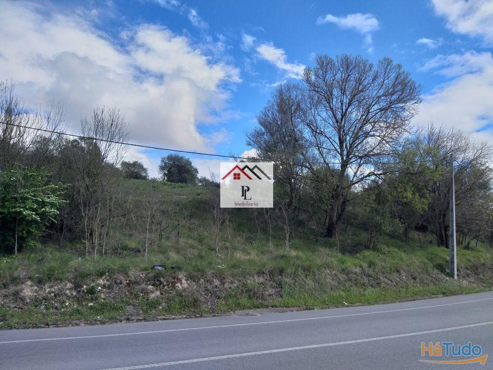 Terrenos para construção em Coimbra Terrenos para construção em Coimbra