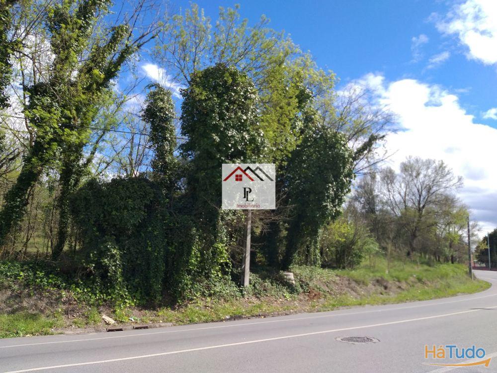 Terrenos para construção em Coimbra Terrenos para construção em Coimbra
