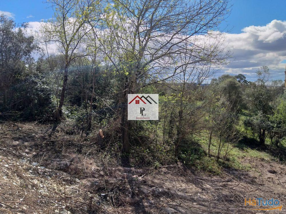 Terrenos para construção em Coimbra Terrenos para construção em Coimbra