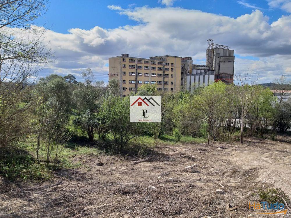 Terrenos para construção em Coimbra Terrenos para construção em Coimbra