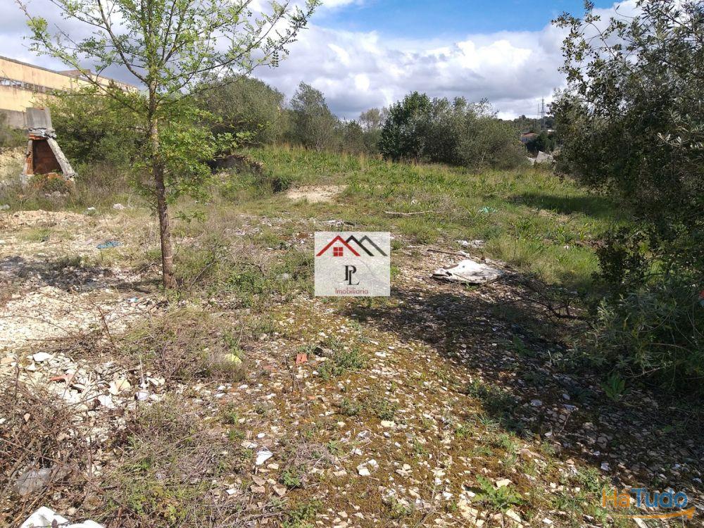 Terrenos para construção em Coimbra Terrenos para construção em Coimbra