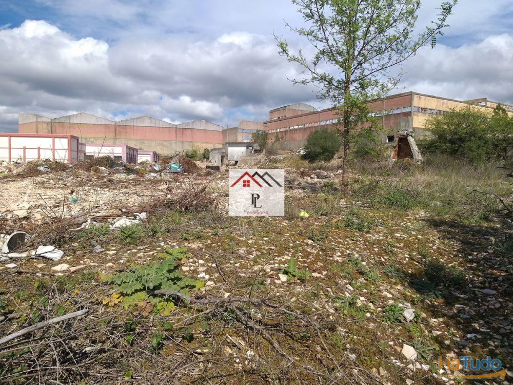 Terrenos para construção em Coimbra Terrenos para construção em Coimbra