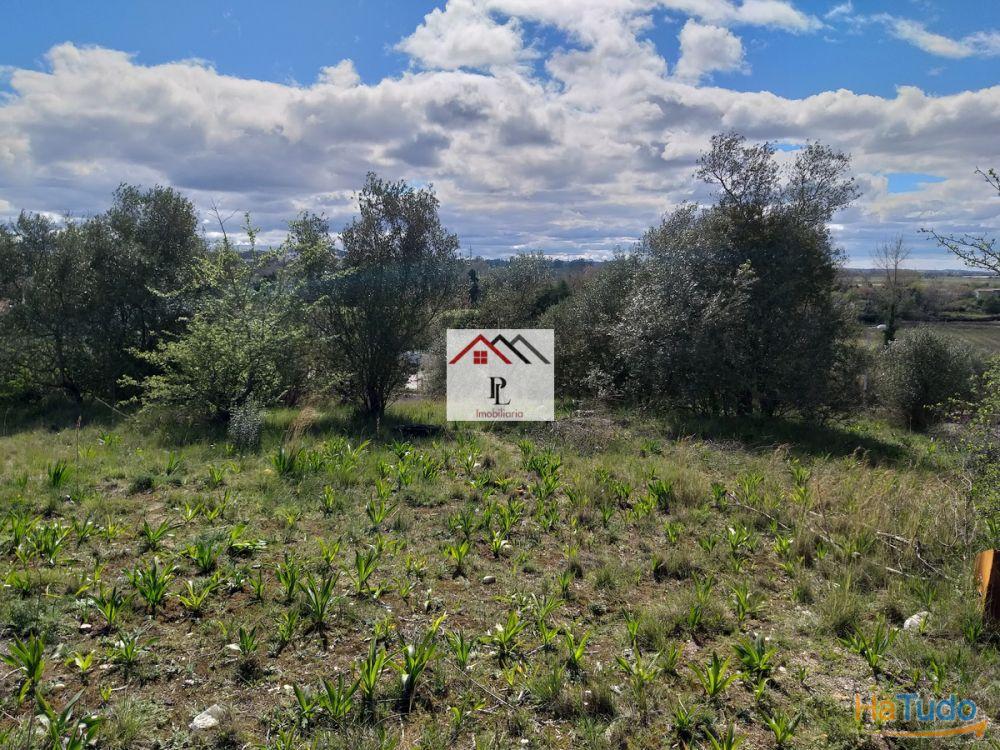 Terrenos para construção em Coimbra Terrenos para construção em Coimbra