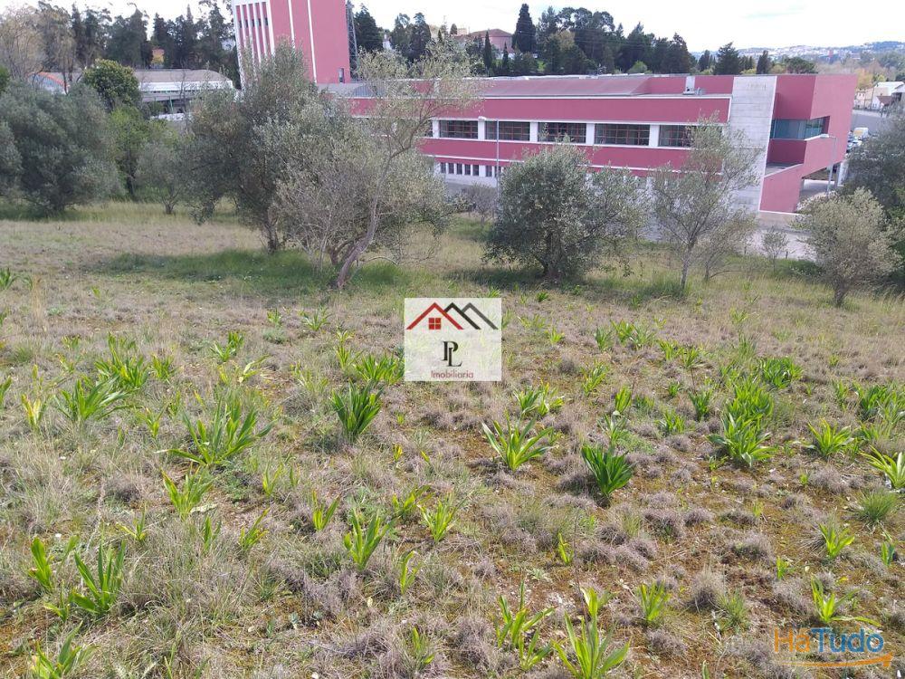 Terrenos para construção em Coimbra Terrenos para construção em Coimbra