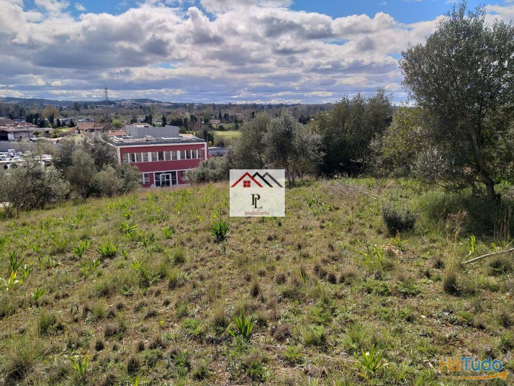 Terrenos para construção em Coimbra Terrenos para construção em Coimbra