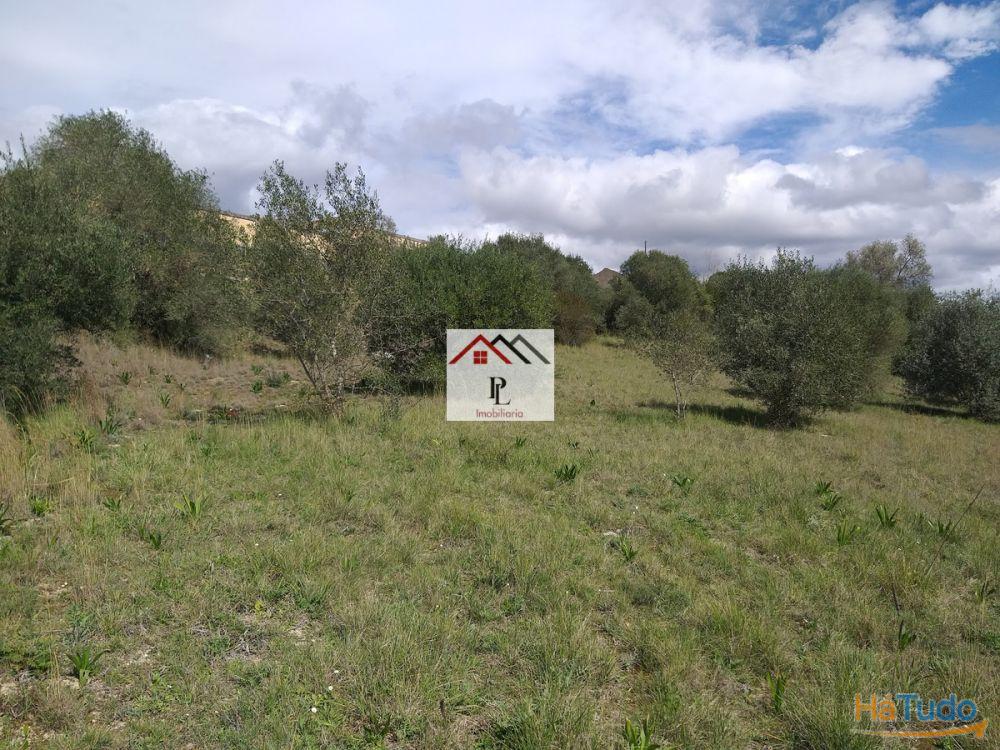 Terrenos para construção em Coimbra Terrenos para construção em Coimbra