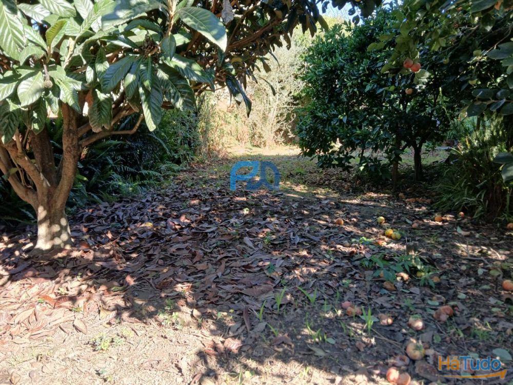 Moradia com jardim Moradia com jardim