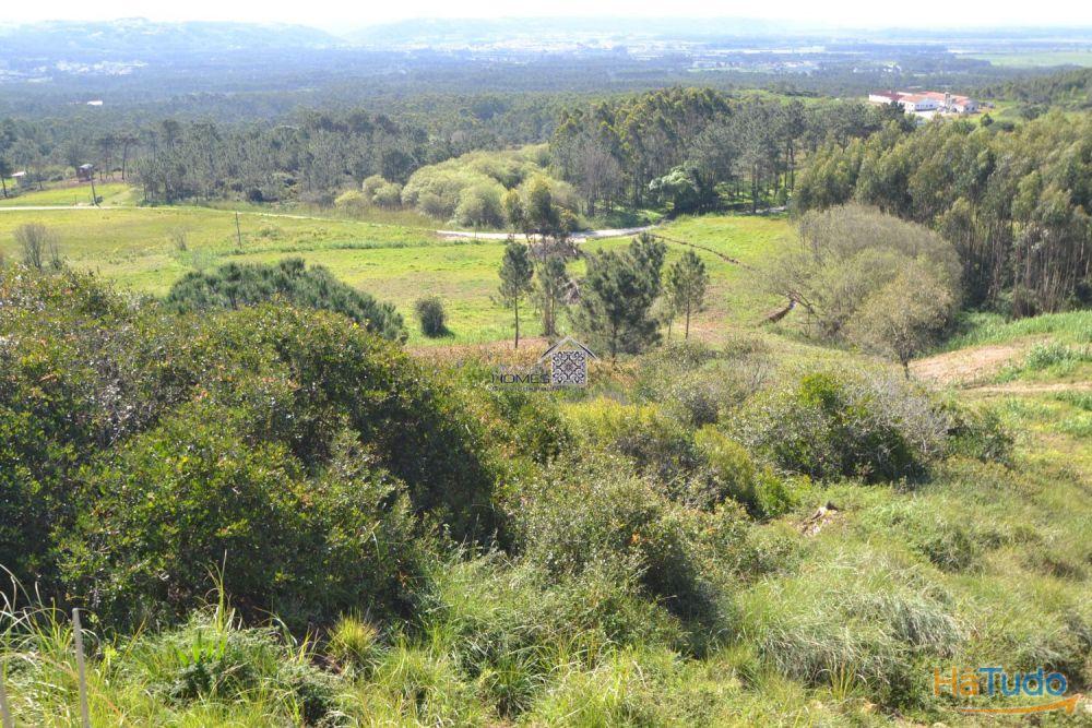 Terreno com vistas maravilhosas Terreno com vistas maravilhosas