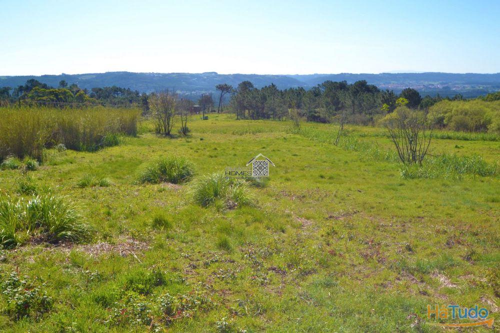 Terreno com vistas maravilhosas Terreno com vistas maravilhosas