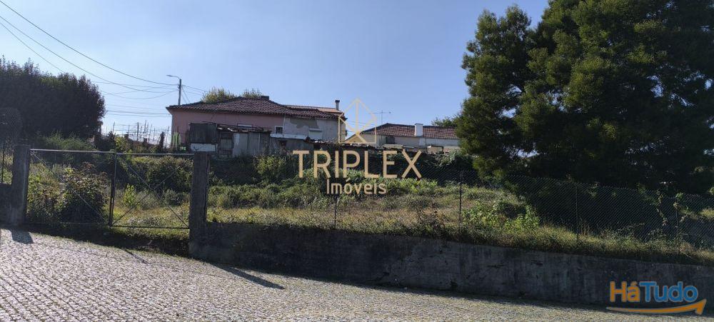 Casa com 3 inquilinos e Terreno - Monte Sta Cruz Casa com 3 inquilinos e Terreno - Monte Sta Cruz