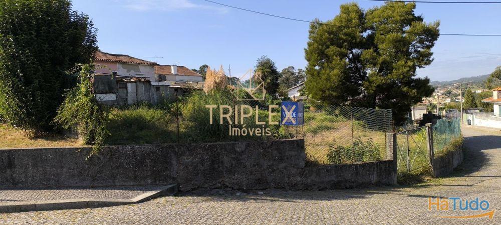 Casa com 3 inquilinos e Terreno - Monte Sta Cruz Casa com 3 inquilinos e Terreno - Monte Sta Cruz