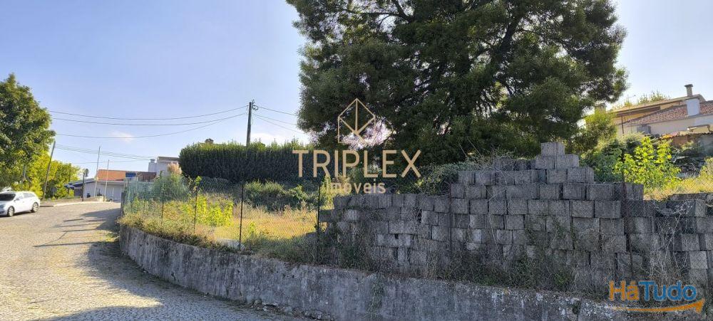 Casa com 3 inquilinos e Terreno - Monte Sta Cruz Casa com 3 inquilinos e Terreno - Monte Sta Cruz