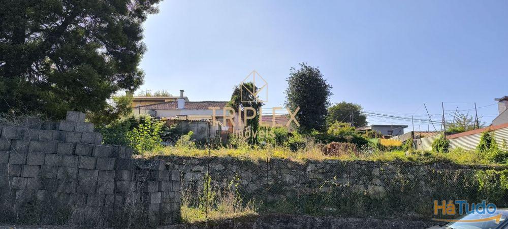 Casa com 3 inquilinos e Terreno - Monte Sta Cruz Casa com 3 inquilinos e Terreno - Monte Sta Cruz