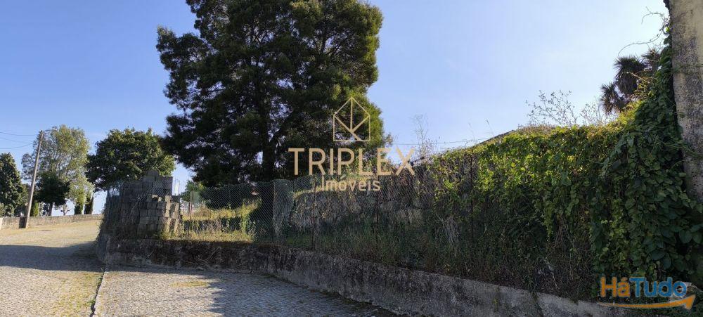 Casa com 3 inquilinos e Terreno - Monte Sta Cruz Casa com 3 inquilinos e Terreno - Monte Sta Cruz