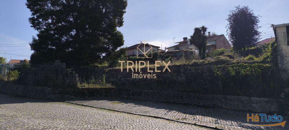 Casa com 3 inquilinos e Terreno - Monte Sta Cruz Casa com 3 inquilinos e Terreno - Monte Sta Cruz