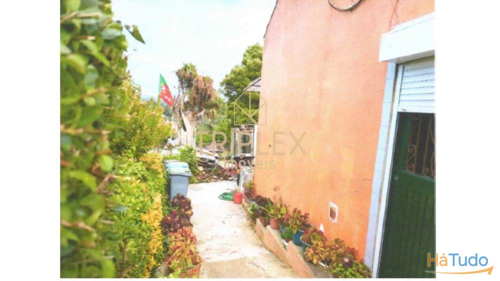 Casa com 3 inquilinos e Terreno - Monte Sta Cruz Casa com 3 inquilinos e Terreno - Monte Sta Cruz