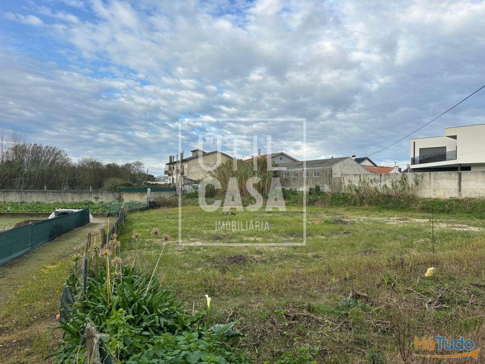 Terreno para construção em Apúlia c/1319m² Terreno para construção em Apúlia c/1319m²