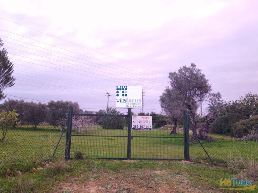 Terreno rústico vedado 3.640m2 Terreno rústico vedado 3.640m2