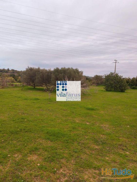 Terreno rústico vedado 3.640m2 Terreno rústico vedado 3.640m2