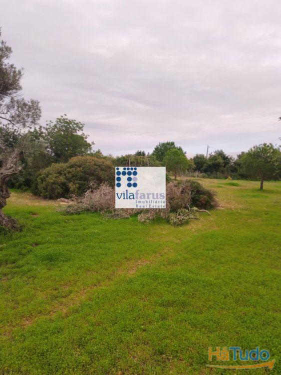 Terreno rústico vedado 3.640m2 Terreno rústico vedado 3.640m2