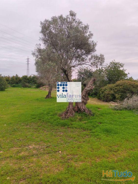 Terreno rústico vedado 3.640m2 Terreno rústico vedado 3.640m2