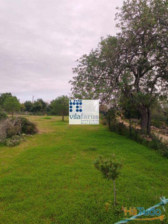 Terreno rústico vedado 3.640m2 Terreno rústico vedado 3.640m2