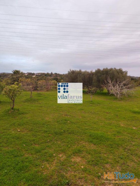 Terreno rústico vedado 3.640m2 Terreno rústico vedado 3.640m2