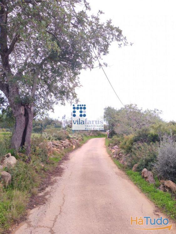 Terreno rústico vedado 3.640m2 Terreno rústico vedado 3.640m2