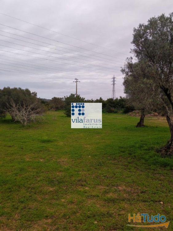 Terreno rústico vedado 3.640m2 Terreno rústico vedado 3.640m2