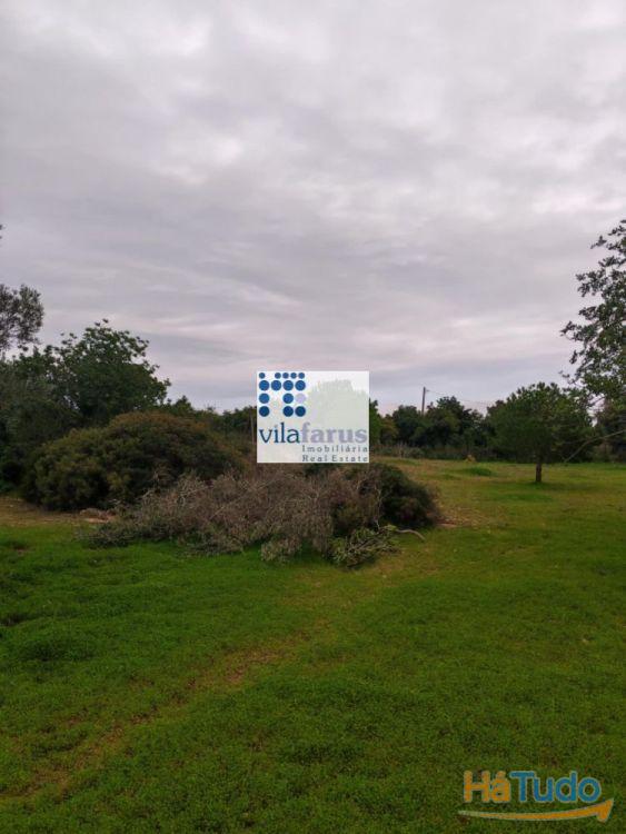 Terreno rústico vedado 3.640m2 Terreno rústico vedado 3.640m2