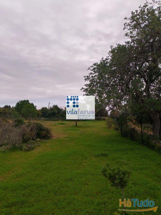 Terreno rústico vedado 3.640m2 Terreno rústico vedado 3.640m2