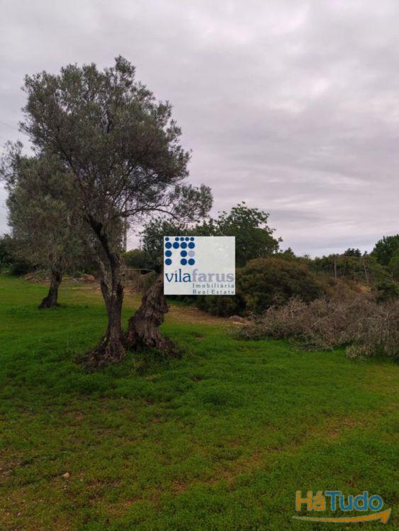 Terreno rústico vedado 3.640m2 Terreno rústico vedado 3.640m2