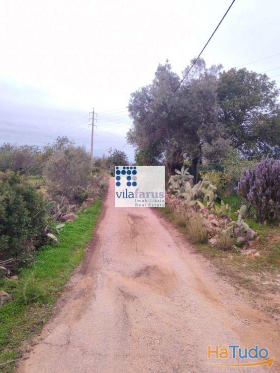 Terreno rústico vedado 3.640m2 Terreno rústico vedado 3.640m2