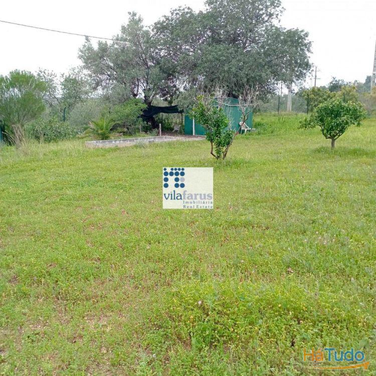 Terreno rústico vedado 3.640m2 Terreno rústico vedado 3.640m2