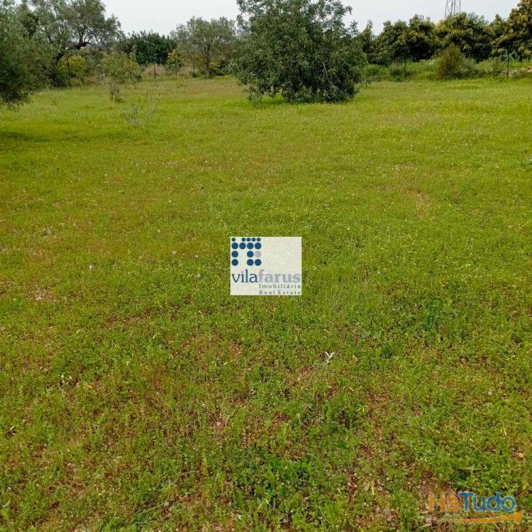 Terreno rústico vedado 3.640m2 Terreno rústico vedado 3.640m2