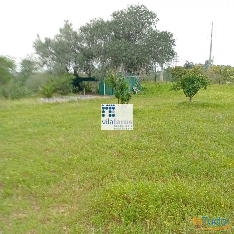 Terreno rústico vedado 3.640m2 Terreno rústico vedado 3.640m2