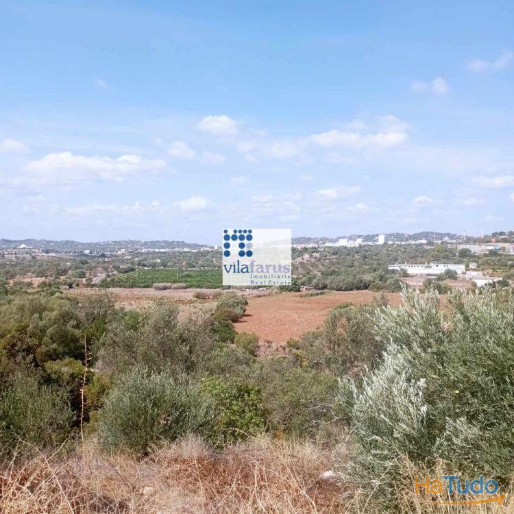 Terreno de 788m2 com projecto aprovado para moradia de luxo Terreno de 788m2 com projecto aprovado para moradia de luxo