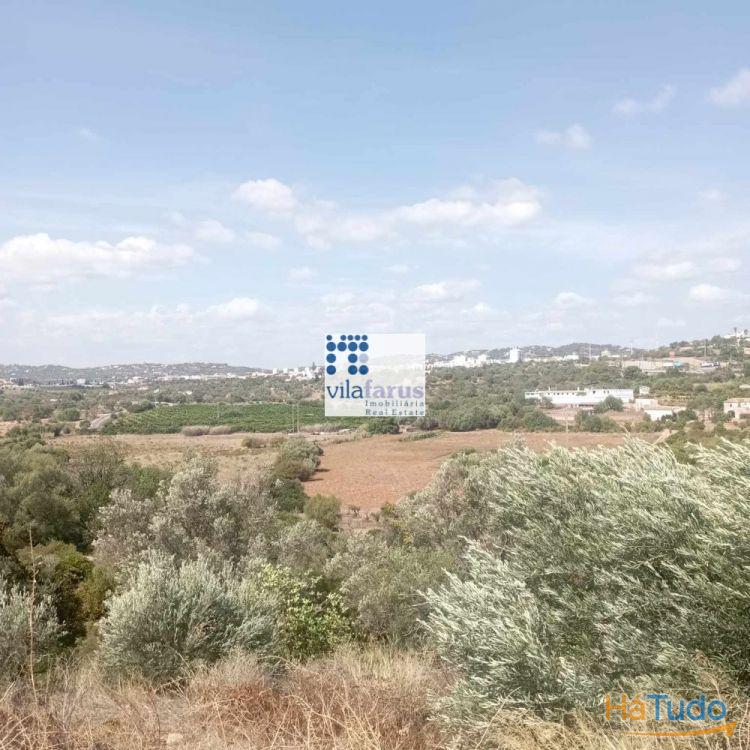 Terreno de 788m2 com projecto aprovado para moradia de luxo Terreno de 788m2 com projecto aprovado para moradia de luxo