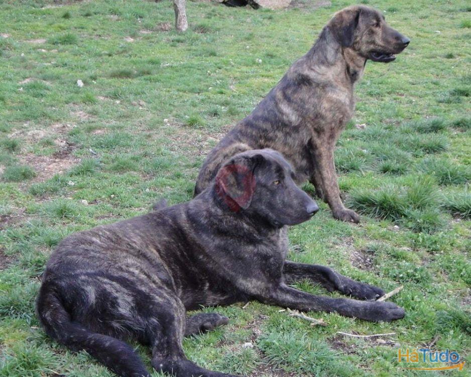 Moradia T3 Moradia T3