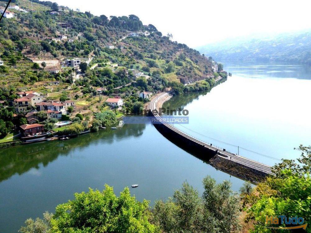 34.000m2 de terreno (Quinta) e 2 Ruínas a 8 minutos do Rio Douro. Portugal, Baião. 34.000m2 de terreno (Quinta) e 2 Ruínas a 8 minutos do Rio Douro. Portugal, Baião.